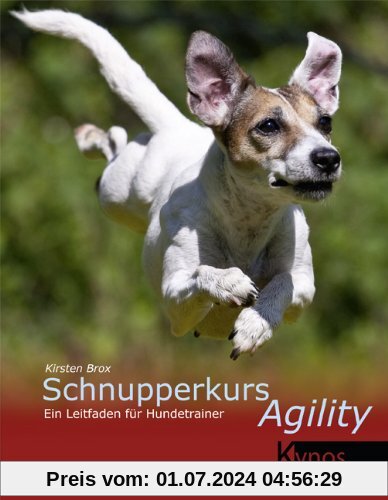 Schnupperkurs Agility: Ein Leitfaden für Hundetrainer