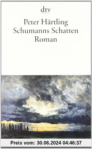 Schumanns Schatten: Variationen über mehrere Personen Roman