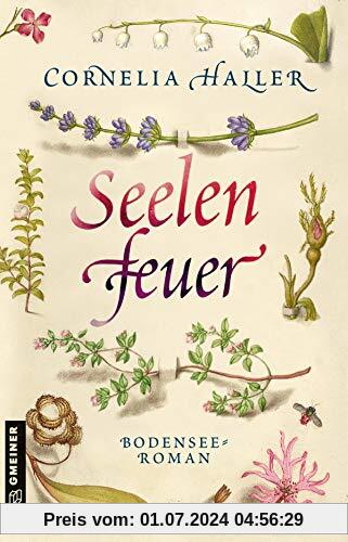 Seelenfeuer: Bodensee-Roman (Heilerin Luzia Gassner) (Historische Romane im GMEINER-Verlag)