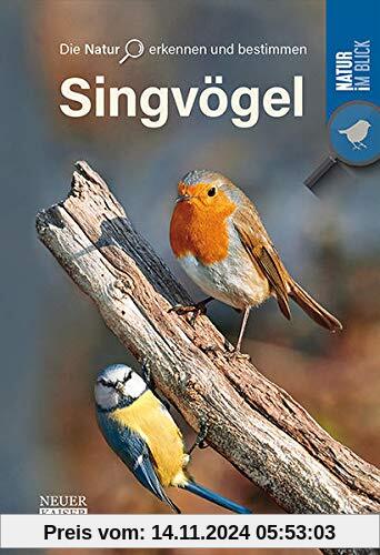 Singvögel: Die Natur erkennen und bestimmen - Natur im Blick