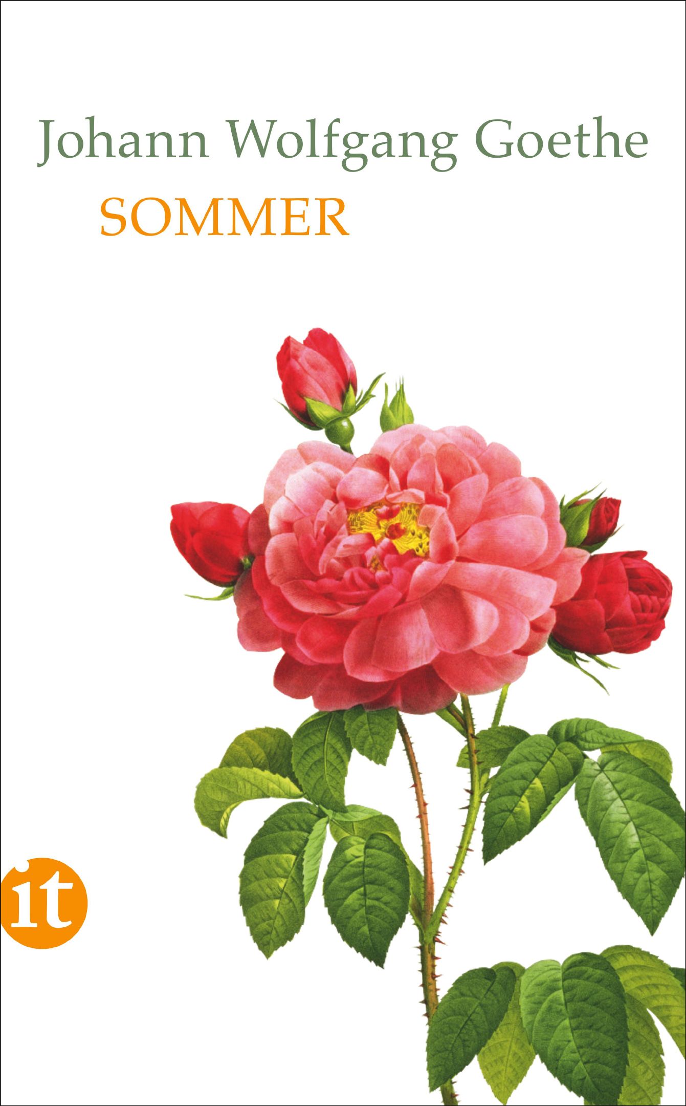 Sommer von Insel Verlag