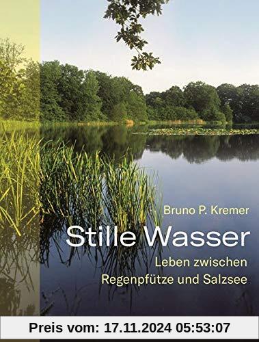 Stille Wasser: Leben zwischen Regenpfütze und Salzsee