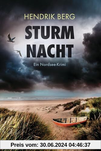 Sturmnacht: Ein Nordsee-Krimi (Ein Fall für Theo Krumme, Band 10)