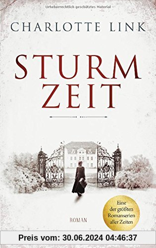 Sturmzeit: Roman (Die Sturmzeittrilogie, Band 1)