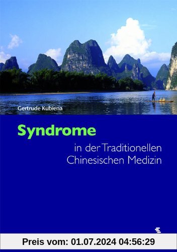 Syndrome in der Traditionellen Chinesischen Medizin