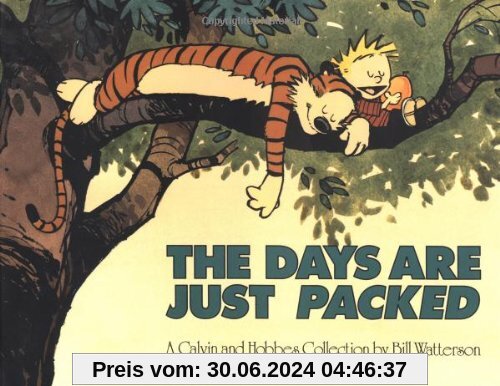 The Days Are Just Packed (Calvin and Hobbes)