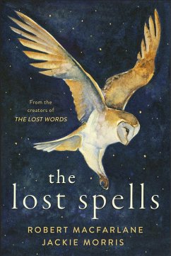 The Lost Spells von Hamish Hamilton / Penguin Books UK