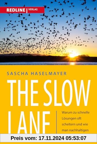 The Slow Lane: Warum zu schnelle Lösungen oft scheitern und wie man nachhaltigen Wandel herbeiführt