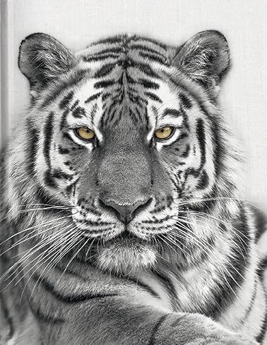 Tiger: Blankbook (Blankbook (RB906)) von Tushita PaperArt