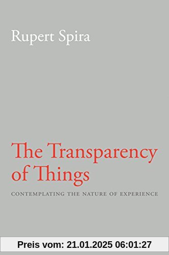 Transparency of Things: Contemplating the Nature of Experience