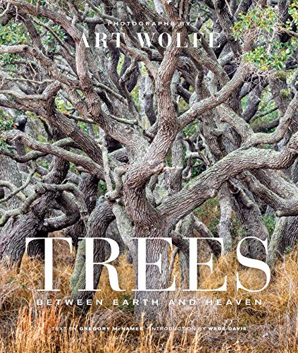 Trees (Gift Edition): Between Earth and Heaven von Earth Aware Editions