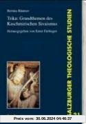 Trika: Grundthemen des kaschmirischen S'ivaismus: Salzburger Theologische Studien 21. Interkulturell 1