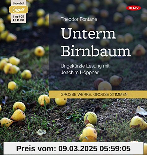 Unterm Birnbaum: Ungekürzte Lesung (1 mp3-CD)