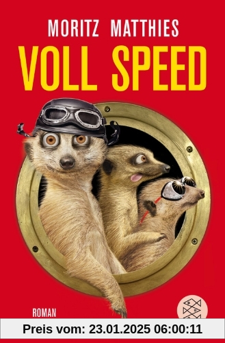 Voll Speed: Roman