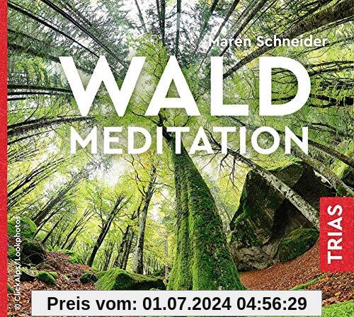 Waldmeditation (Hörbuch Gesundheit)