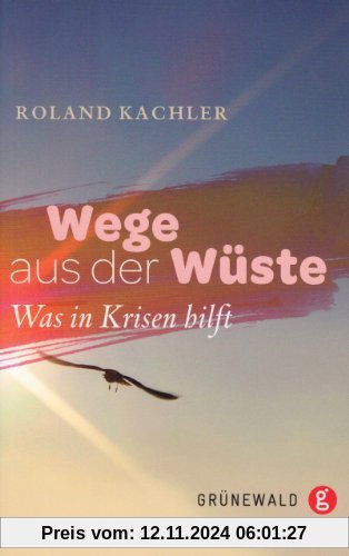 Wege aus der Wüste: Was in Krisen hilft