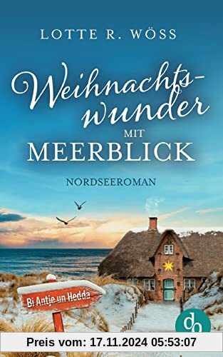 Weihnachtswunder mit Meerblick: Nordseeroman