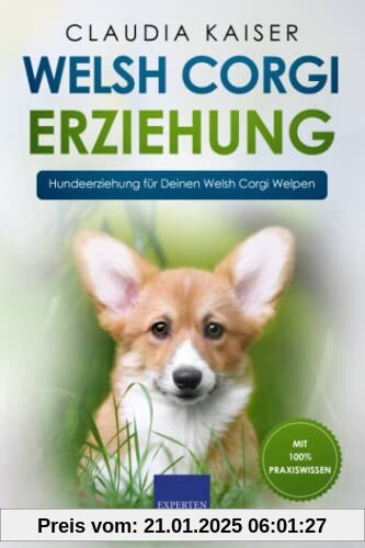 Welsh Corgi Erziehung: Hundeerziehung für Deinen Welsh Corgi Welpen