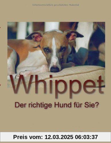 Whippet: Der richtige Hund für Sie ?