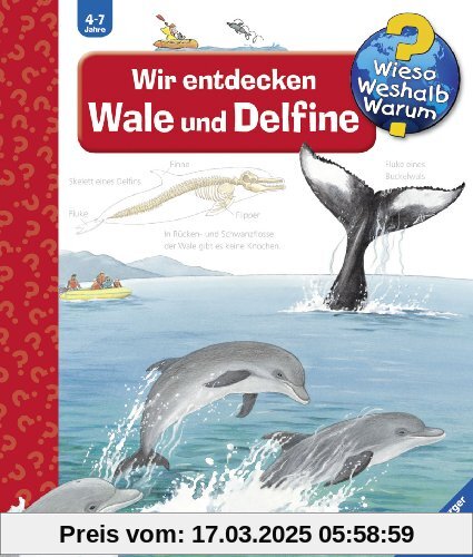 Wieso? Weshalb? Warum? 41: Wir entdecken Wale und Delfine