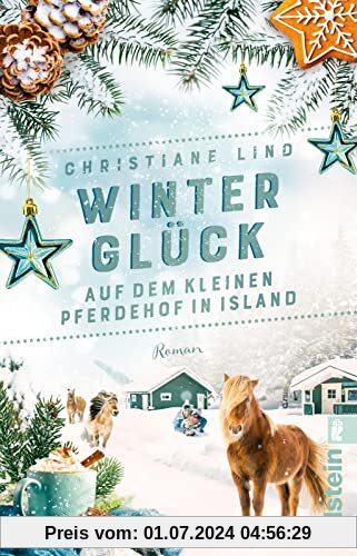 Winterglück auf dem kleinen Pferdehof in Island: Roman | Romantic Escape nach Island: Unter den Polarlichtern werden Winterträume wahr