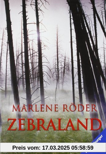 Zebraland