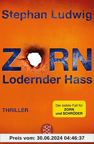 Zorn 7 - Lodernder Hass: Thriller